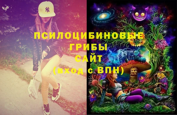 дурь Иннополис