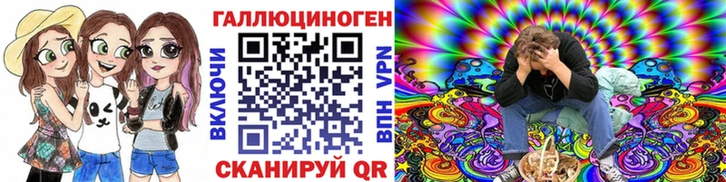 Галлюциногенные грибы Psilocybe Володарск